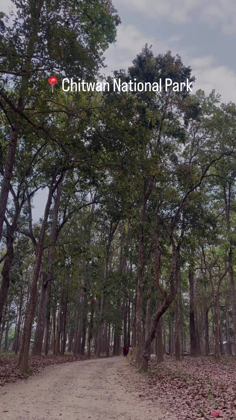 Creator reel from Madi