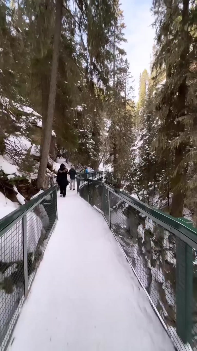Creator reel from Banff