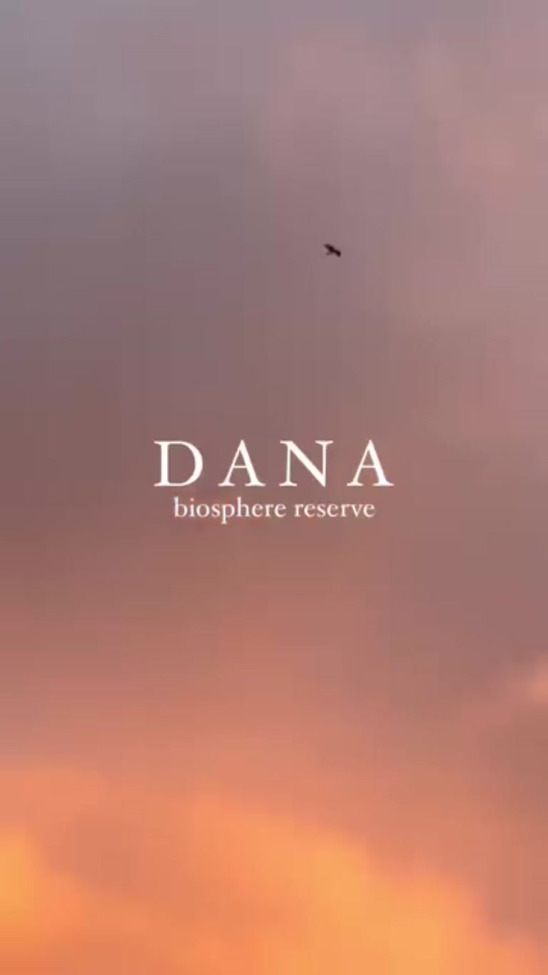 Creator reel from Dana