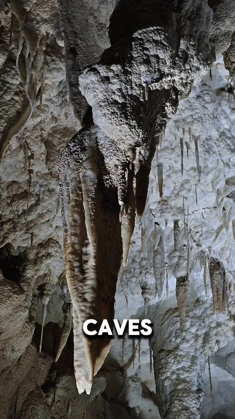 Creator reel from Waitomo Caves
