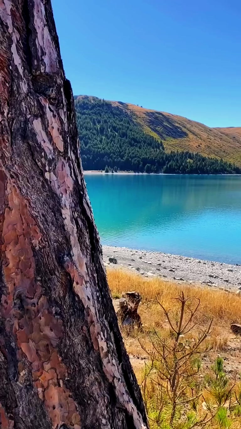 Creator reel from Lake Tekapo