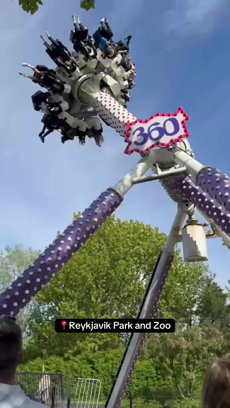 Creator reel from Reykjavik