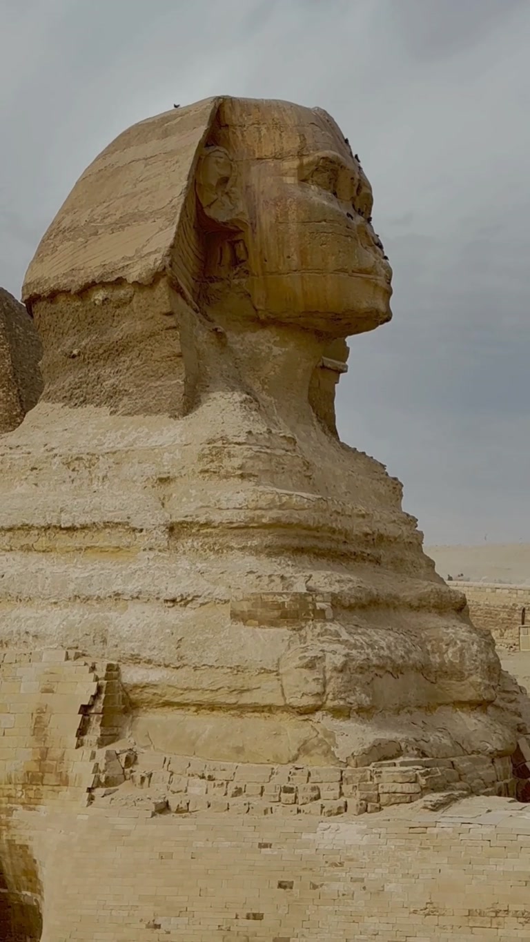 Creator reel from Giza