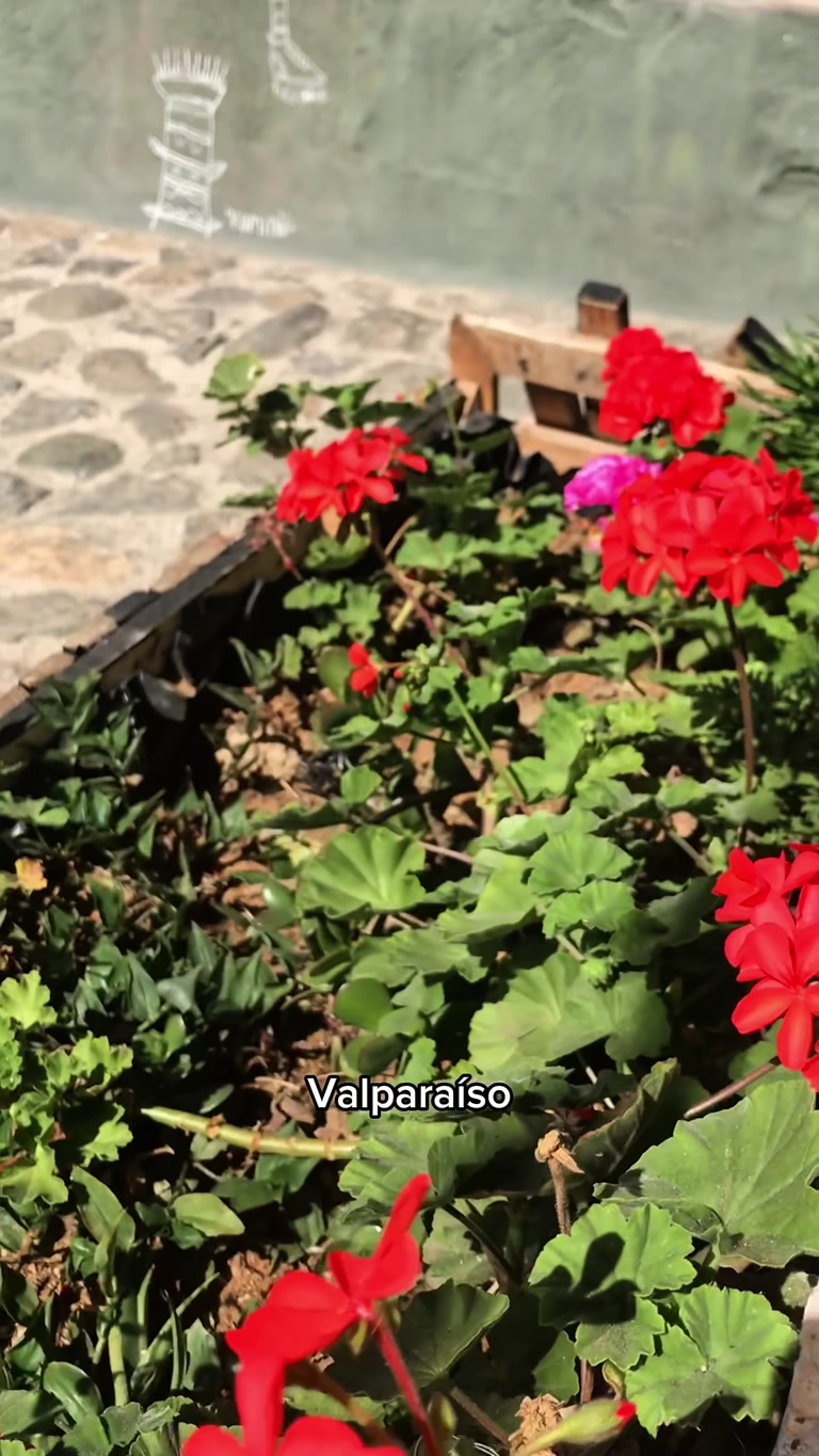 Creator reel from Valparaiso