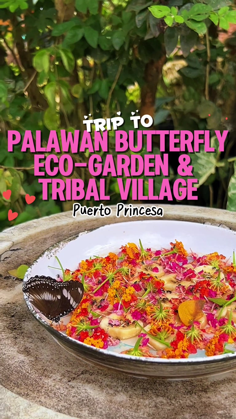 Creator reel from Puerto Princesa