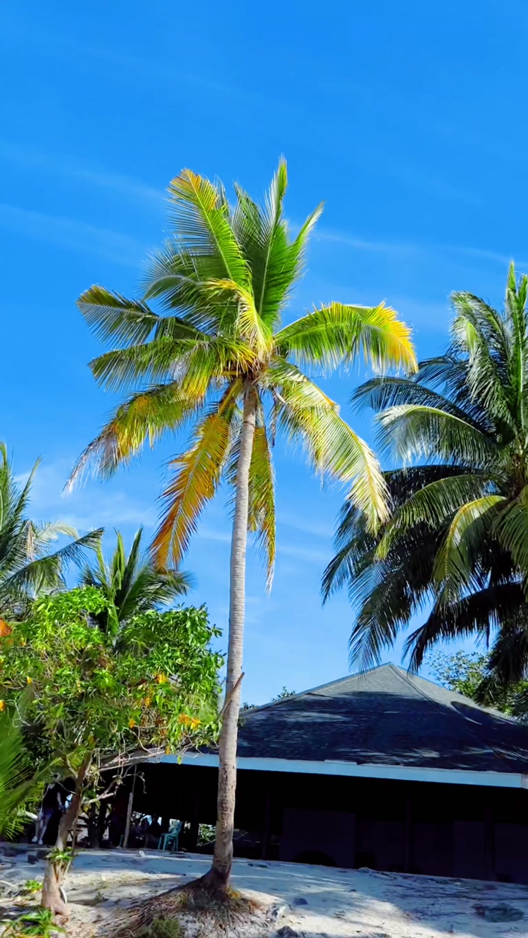 Creator reel from Siargao