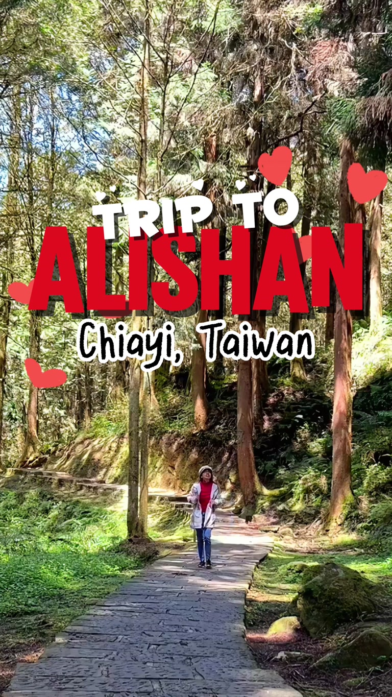 Creator reel from Alishan