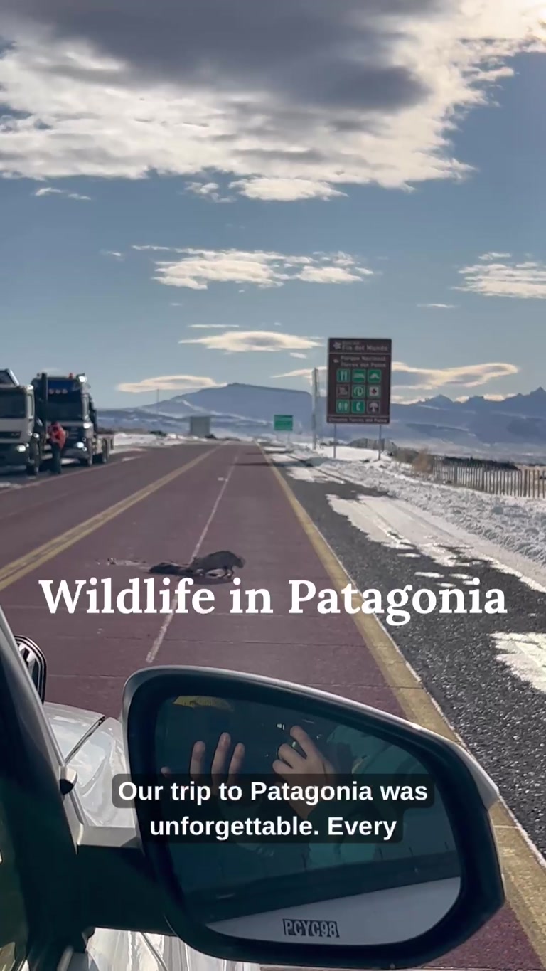 Creator reel from Puerto Natales