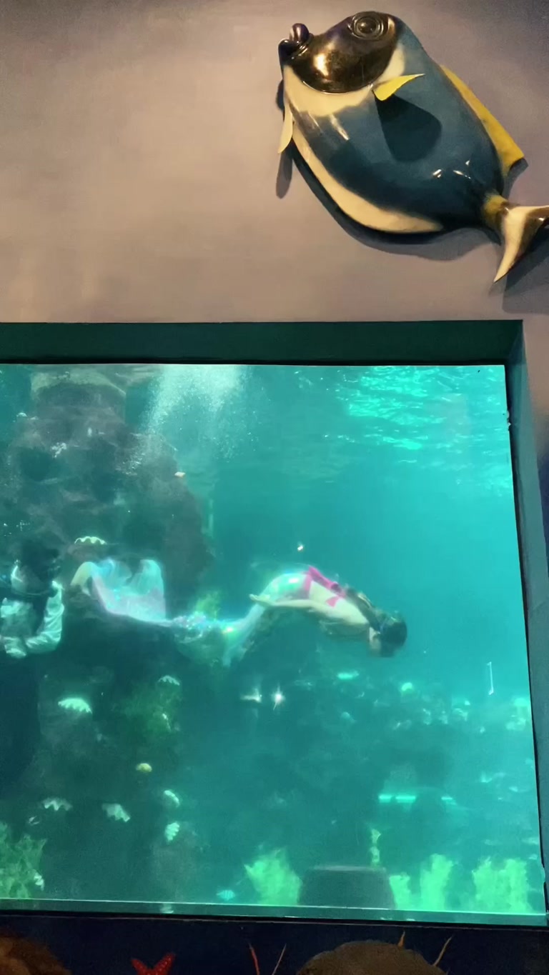 Creator reel from Manila