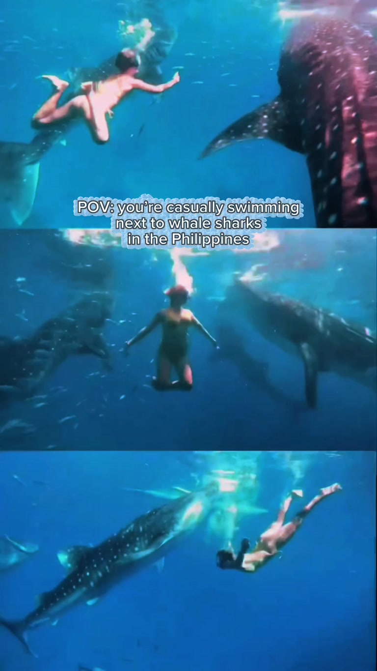 Creator reel from Oslob