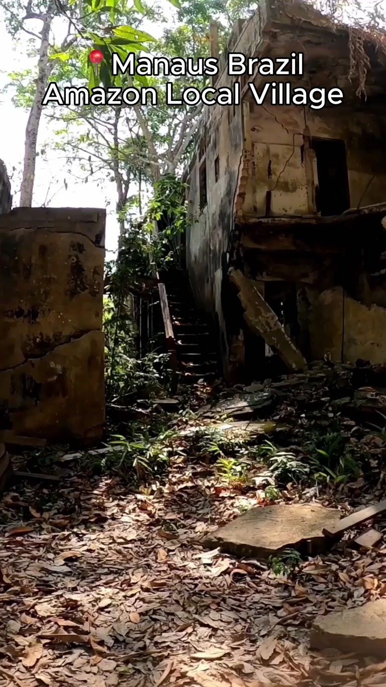 Creator reel from Manaus