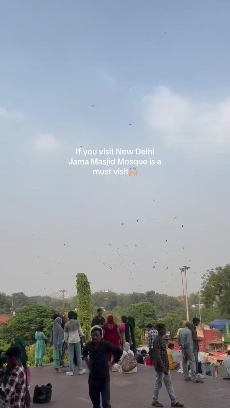 Creator reel from New Delhi